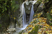 Waterfall, Valea Prapastiilor, Piatra Craiului National Park, Transylvania, Southern Carpathian Mountains, Romania, October 2008