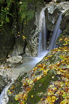Waterfall, Valea Prapastiilor, Piatra Craiului National Park, Transylvania, Southern Carpathian Mountains, Romania, October 2008