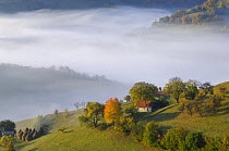Rural farming landscape near Zarnesti, Transylvania, Southern Carpathian Mountains, Romania, October 2008