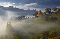 Rural landscape with morning mist near Zarnesti, Transylvania, Southern Carpathian Mountains, Romania, October 2008
