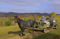 Farmer with traditional horse-drawn cart, near Zarnesti, Transylvania, Southern Carpathian Mountains, Romania, October 2008