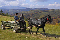 Farmers with traditional horse-drawn cart, near Zarnesti, Transylvania, Southern Carpathian Mountains, Romania, October 2008