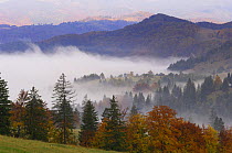 Southern Carpathian Mountains with morning mist, near Zarnesti, Transylvania, Romania, October 2008