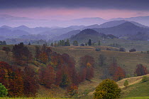 Rural landscape near Sirnea, Transylvania, Southern Carpathian Mountains, Romania, October 2008