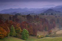 Rural landscape near Sirnea, Transylvania, Southern Carpathian Mountains, Romania, October 2008