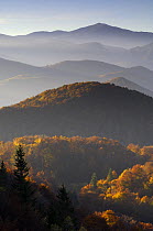 Forest covered hills, Piatra Craiului National Park, Transylvania, Southern Carpathian Mountains, Romania, October 2008