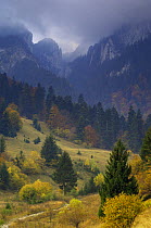 Rock of the King, Piatra Craiului National Park, Transylvania, Southern Carpathian Mountains, Romania, October 2008