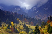 Rock of the King, Piatra Craiului National Park, Transylvania, Southern Carpathian Mountains, Romania, October 2008. WWE INDOOR EXHIBITION