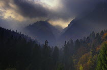 Valea Crapaturii and Rock of the King, Piatra Craiului National Park, Transylvania, Southern Carpathian Mountains, Romania, October 2008