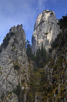 Valea Crapaturii, Piatra Craiului National Park, Transylvania, Southern Carpathian Mountains, Romania, October 2008