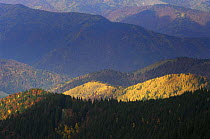 Forest covered hills, Piatra Craiului National Park, Transylvania, Southern Carpathian Mountains, Romania, October 2008