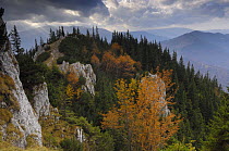 Rocky limestone area "La Zaplaz", Piatra Craiului National Park, Transylvania, Southern Carpathian Mountains, Romania, October 2008
