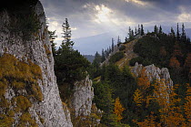 Rocky limestone area "La Zaplaz", Piatra Craiului National Park, Transylvania, Southern Carpathian Mountains, Romania, October 2008