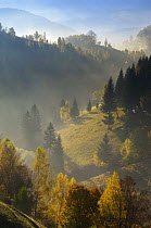 Hilly landscape in the morning light, Magura, Piatra Craiului National Park, Transylvania, Southern Carpathian Mountains, Romania, October 2008