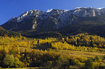 Piatra Craiului massif, Piatra Craiului National Park, Transylvania, Southern Carpathian Mountains, Romania, October 2008