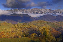 View towards the Piatra Craiului massif near Sirnea, Pasul Giuvala, Transylvania, Southern Carpathian Mountains, Romania, October 2008