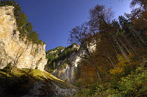 Limestone rocks in Valea Padina lui Calinet, Piatra Craiului National Park, Transylvania, Southern Carpathian Mountains, Romania, October 2008