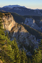 Bicaz Gorges, Cheile Bicazului-Hasmas National Park, Carpathian Mountains, Transylvania, Romania, October 2008