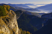 Bicaz Gorges at dawn, Cheile Bicazului-Hasmas National Park, Carpathian Mountains, Transylvania, Romania, October 2008