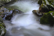 Mountain stream, Bicaz, Cheile Bicazului-Hasmas National Park, Carpathian Mountains, Transylvania, Romania, October 2008