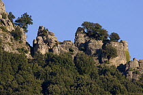 Rocks in mediterranean vegetation, Monte Novo San Giovanni, Gennargentu National Park, Sardinia, Italy, November 2008
