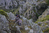 Researcher Dr. Anna Pipia radio tracking Mouflon (Ovis musimon) for Wild Wonders of Europe project, Gennargentu National Park, Sardinia, Italy, November 2008