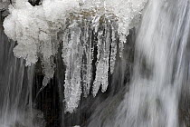 Frozen waterfall, Gran Paradiso National Park, Italy, November 2008