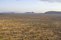 View from Saruni Lodge, Kalama Conservancy, Northern Rangelands, Kenya