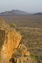 View from Saruni Lodge, Kalama Conservancy, Northern Rangelands, Kenya