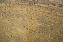 Aerial view of vehicle tracks in Samburu National Park, Kenya