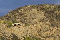 Saruni Lodge, Kalama Conservancy, Northern Rangelands, Kenya
