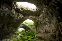 Cave near Pelvin,  Bulgaria, May 2008