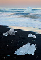 Glacier ice on the sea shore, rfi / Oraefi, Iceland, June 2008
