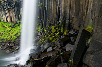 Svartifoss waterfall with basalt columns, Iceland, June 2008