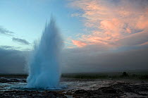 Spouting hot spring. Strokkur. Iceland. June 2008
