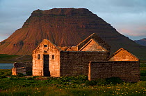 Farm ruins with Kirkju mountain in the background, Snfellsnes / Snaefellsnes peninsula, Iceland, July 2008