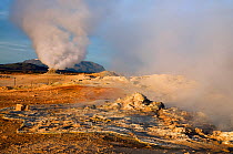Volcanic activity, Steam vent, Hverir, Nmafjall, Iceland, July 2008