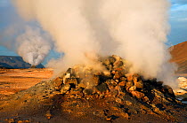 Volcanic activity, Steam vent at Hverir, Nmafjall, Iceland, July 2008