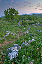 Landscape, Monte Sacro, Gargano National Park, Gargano Peninsula, Apulia, Italy