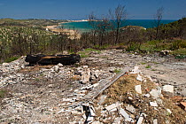 Land left charred by a forest fire, Vieste, Gargano National Park, Gargano Peninsula, Apulia, Italy, May 2008