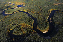 Aerial view of Kitkajoki River, Oulanka National Park, Finland, September 2008.