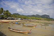 Long boats at low tide, Thailand, March 2006.