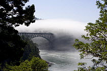 Mist over Deception Pass, Whidbey Island, San Juan Islands, Washington State, 2005.