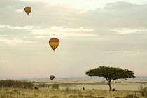 Hot air balloon safari over the Masai Mara, Kenya
