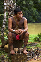 Embera man sitting on cut wood stumps, rainforest, Panama, November 2008