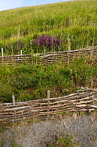 Wooden fences "Fascines" used to counter erosion in the Park Naturel Regionel des Volcans, Auvergne, France, August 2008