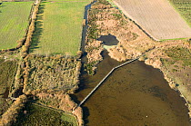 Aerial view of protected area with walkway across a pond, Etang de l'Or, Languedoc, France, November 2008