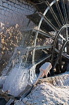 Waterwheel in mill used for commercial salt production, Salin de Giraud, Camargue, France, July 2008