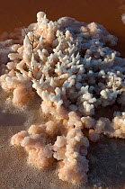 Salt crystallisation at commerical salt farm, Salin de Giraud, Camargue, France, July 2008