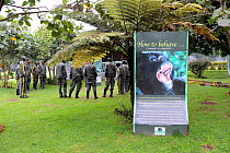 Daily briefing for the Guards at the Volcanoes National Park, home of the Mountain gorilla, Rwanda, Africa, March 2009